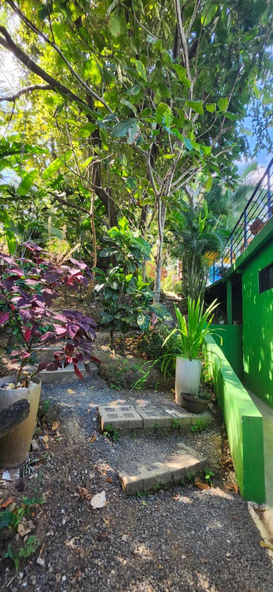 Sunshine Sanctuary Boutique Jungle Lodge Монтесума Экстерьер фото