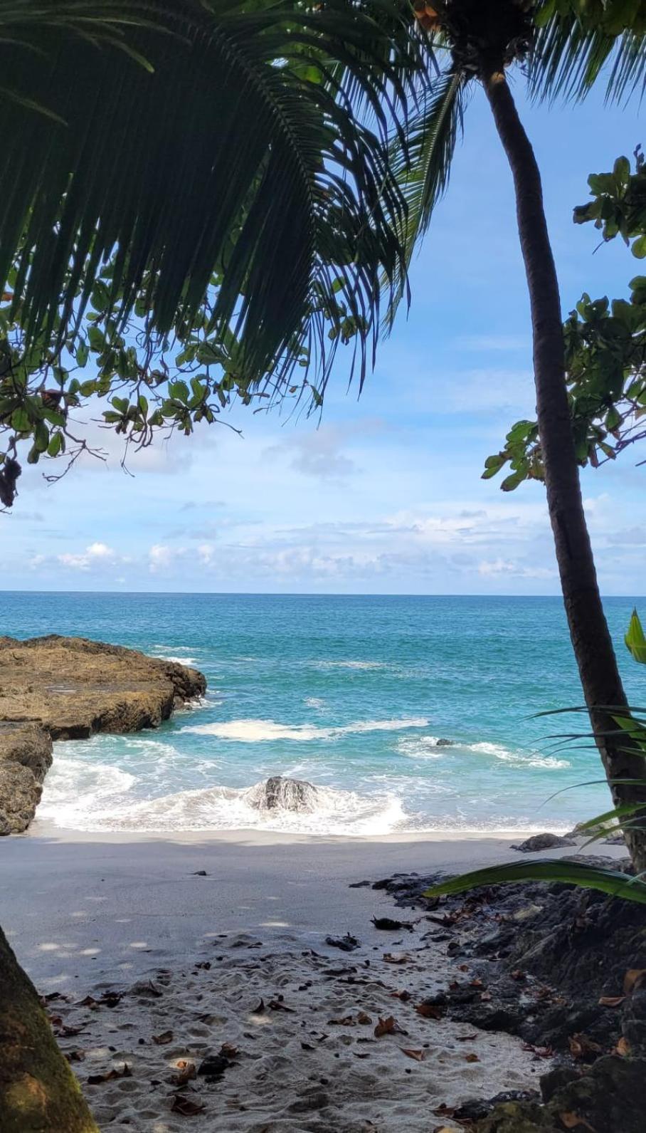 Sunshine Sanctuary Boutique Jungle Lodge Монтесума Экстерьер фото
